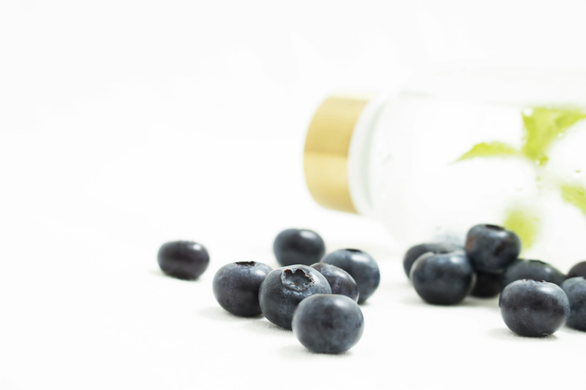 Beginners Guide To Growing Blueberries On A Rooftop Beginners Guide To Growing Blueberries On A Rooftop