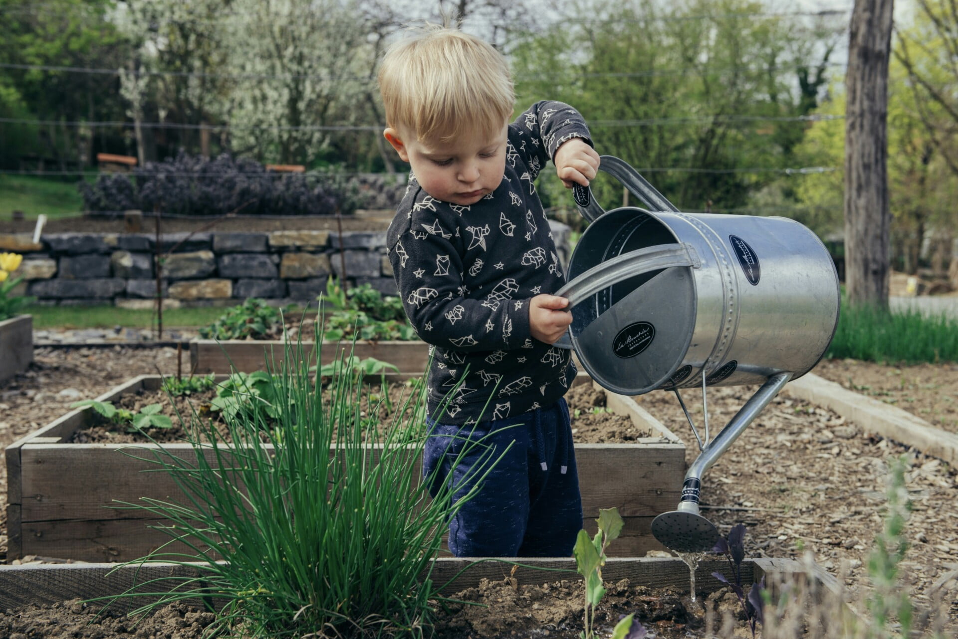 Best Ways To Protect Rooftop Vegetables From Extreme Weather