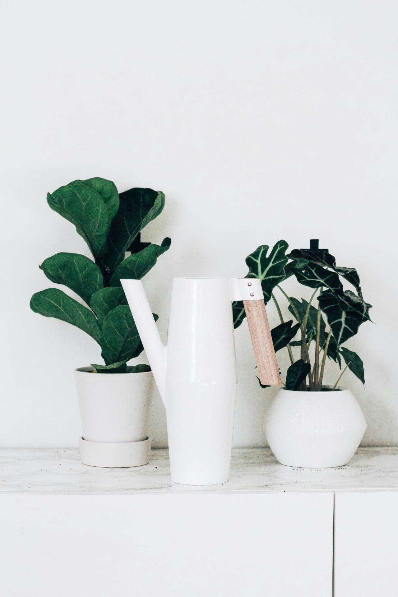 The Ultimate Guide To Selecting The Right Watering Can For Rooftop Gardens The Ultimate Guide To Selecting The Right Watering Can For Rooftop Gardens