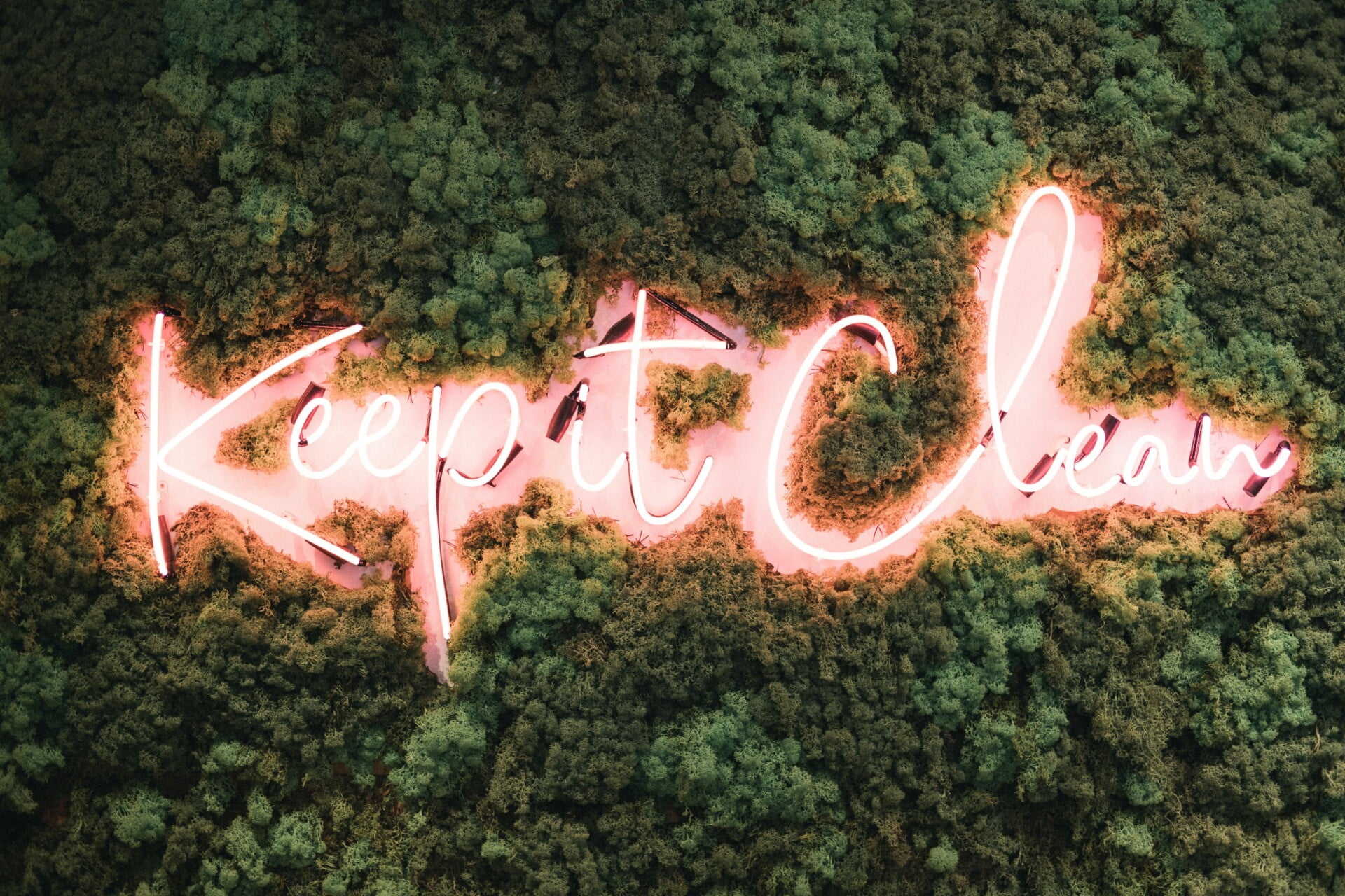 Creative Ideas for Building a Vertical Garden on Your Rooftop