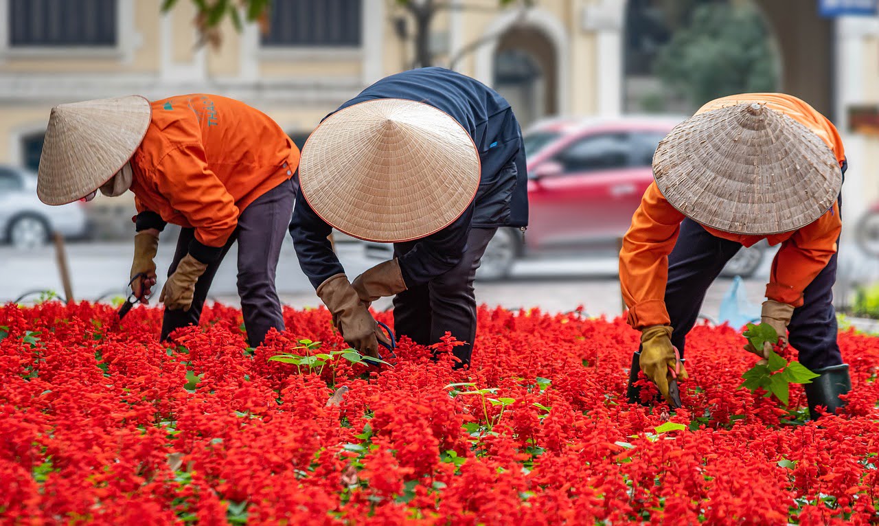 The Urban Oasis: Exploring the Benefits of Rooftop Gardening