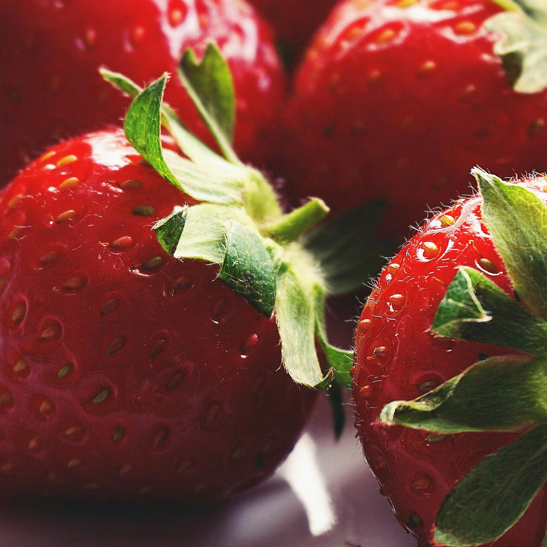 How To Harvest Strawberries From Your Rooftop Garden How To Harvest Strawberries From Your Rooftop Garden