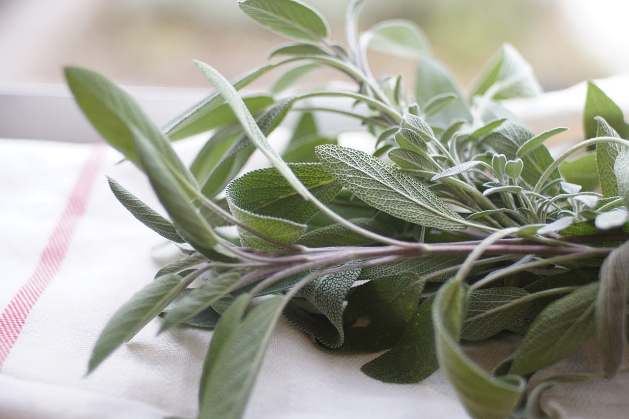 How To Use Fresh Rooftop-grown Herbs In Cooking How To Use Fresh Rooftop-grown Herbs In Cooking