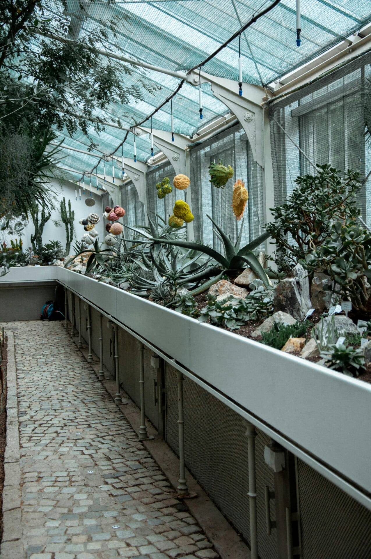 Top 10 Vegetables To Grow On Your Rooftop Top 10 Vegetables To Grow On Your Rooftop