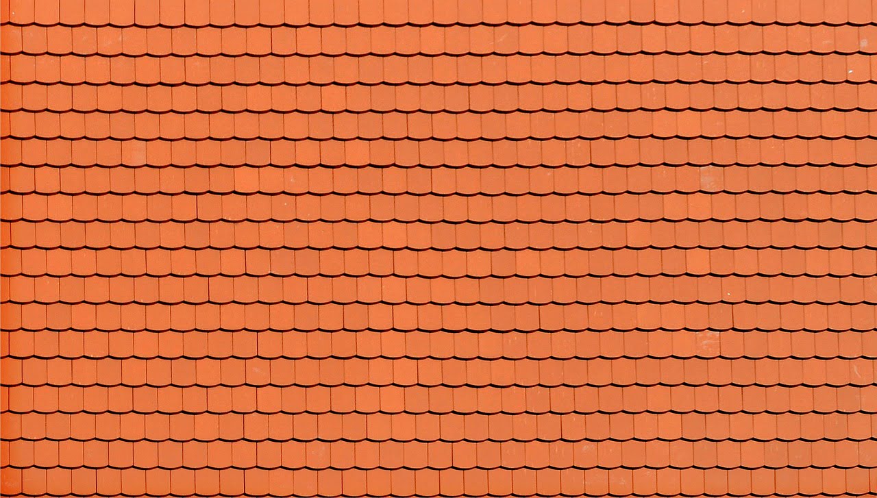 The Ultimate Guide To Growing Berries On Your Rooftop