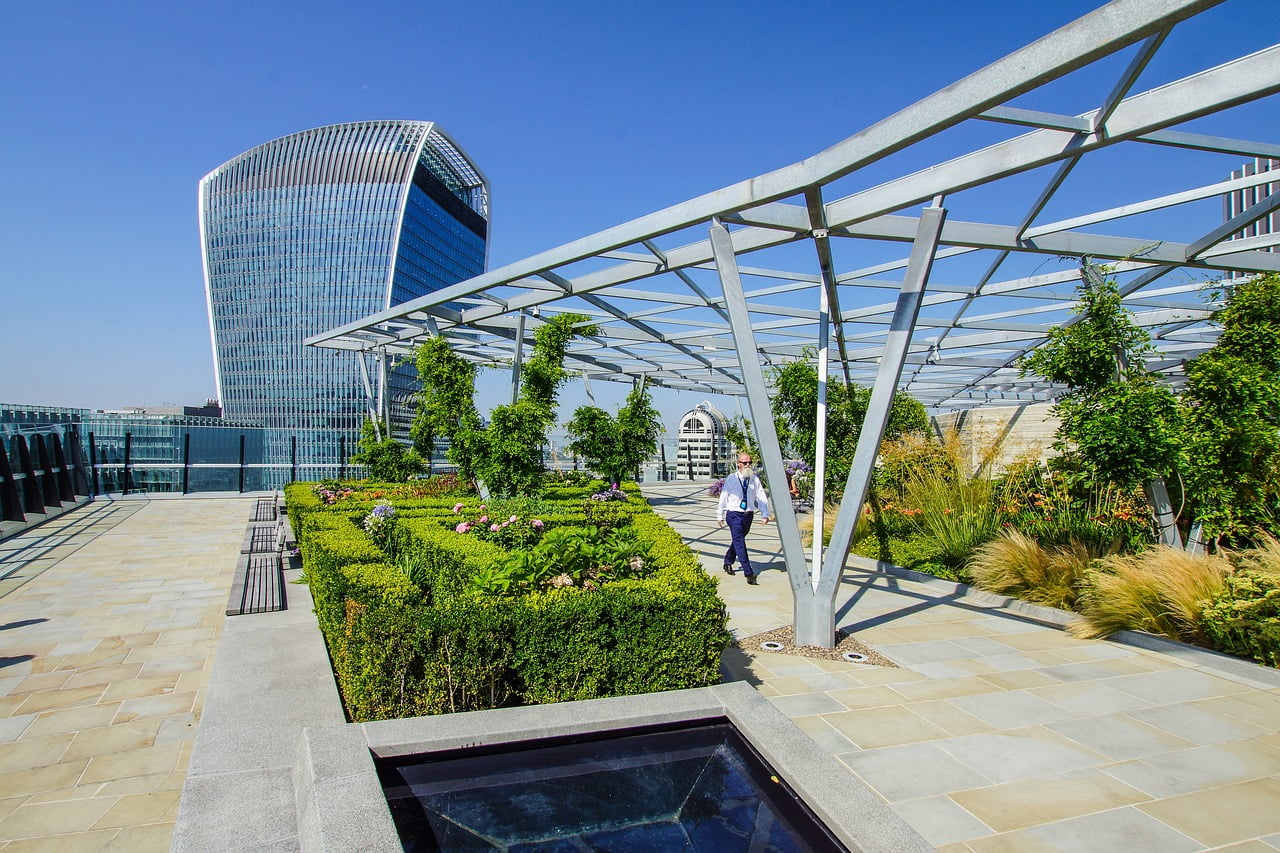 What Are The Fastest-Growing Vegetables For Rooftop Gardens? What Are The Fastest-Growing Vegetables For Rooftop Gardens?